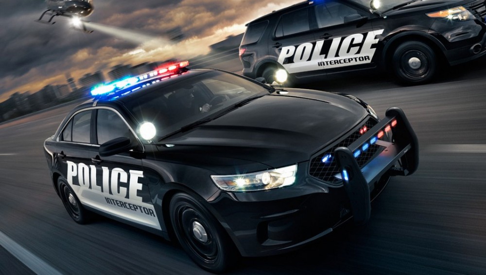 Fleet ford government sales #3